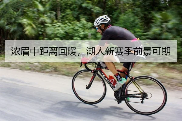 浓眉中距离回暖，湖人新赛季前景可期